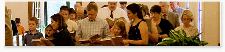 learn more about Stony Hill...
